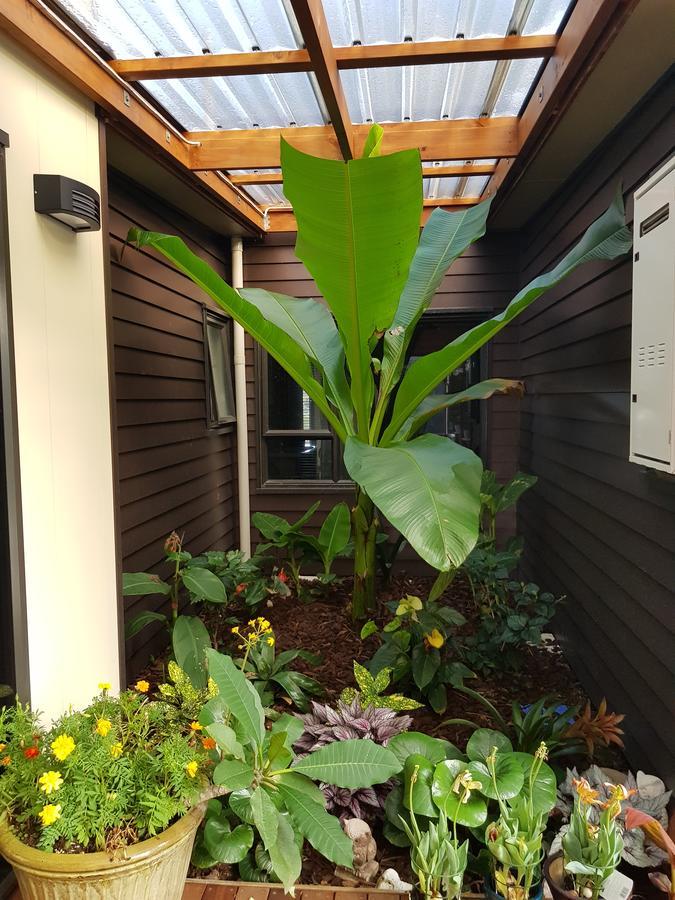 Heta Road B&B New Plymouth Kültér fotó